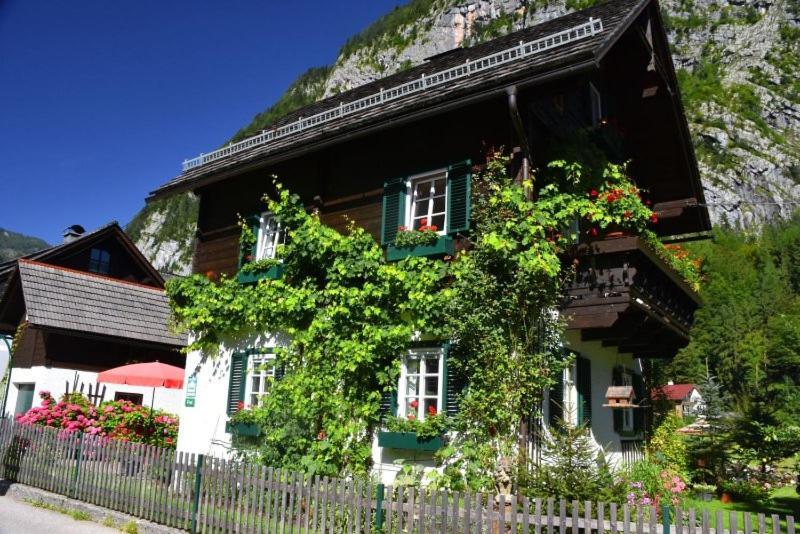 הלשטאדט B&B Haus Hemetzberger מראה חיצוני תמונה